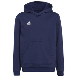 Adidas Παιδικό φούτερ Entrada 22 Hoodie